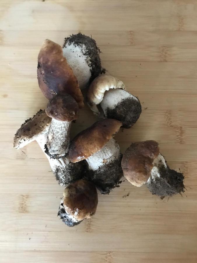 Mazurska Stodola Na Polwyspie Pilchowskim Pilchy Kültér fotó